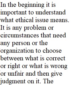 Ethics Issue Paper 2